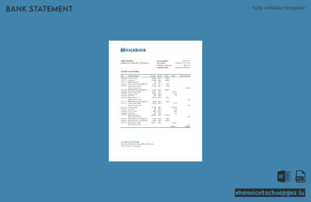 Beispiel eines Kontoauszugs der Macedonia Halkbank (Excel-Vorschau)